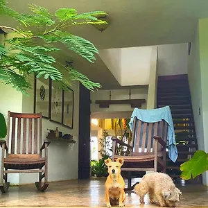 Hotel El Hotelito At The Rainforest Experience Farm Fajardo